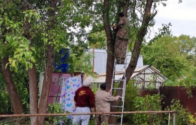 Добровольцы произвели обрезку сухих деревьев в саду